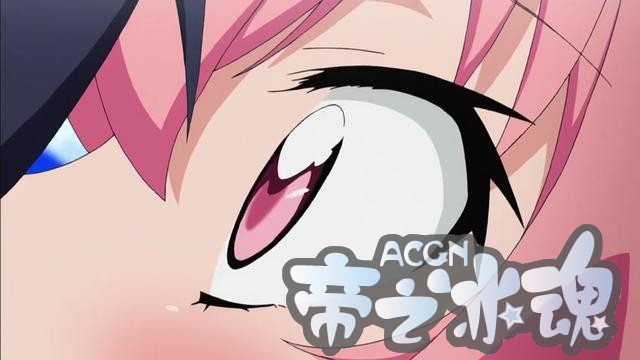 二次元的你，还记得《零之使魔》这部动漫吗？
