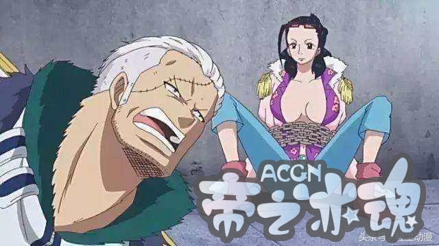 海贼王，这五对形影不离的男女，一对青梅竹马，一对为爱不离不弃