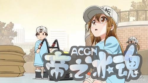 人的细胞怎么会这么好看？日本人又想用动漫骗你学生物