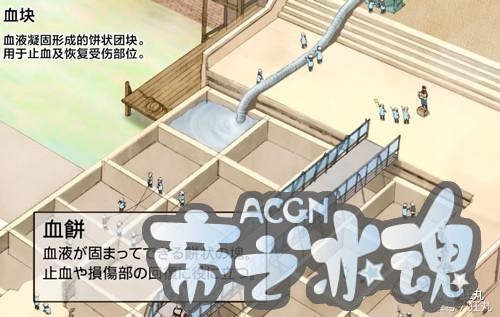 人的细胞怎么会这么好看？日本人又想用动漫骗你学生物