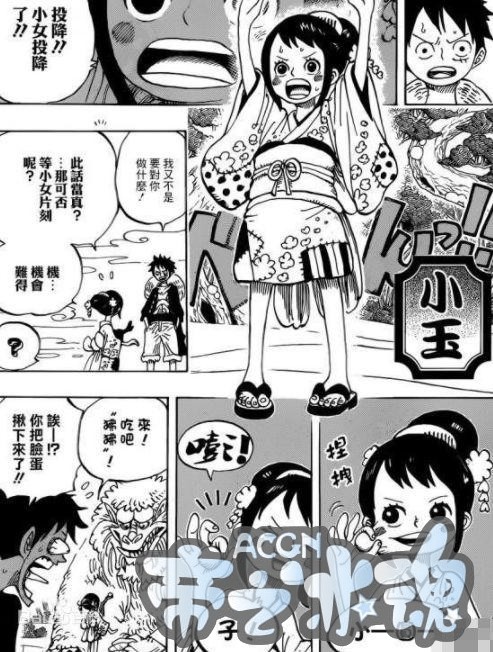 海贼王和之国篇章中艾斯将会出现，尾田又皮了，网友：灵魂艾斯？