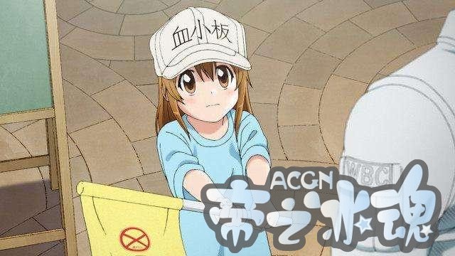 五部适合女孩子看的动漫推荐！