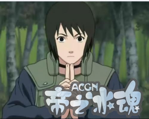 博人传：木叶丸和花火，卡卡西和静音，纲手和大蛇丸，你同意吗？