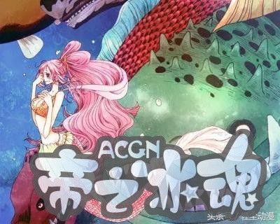 海贼王，这八个王者你知道吗？遇见草帽海贼团，他成了最惨的大王
