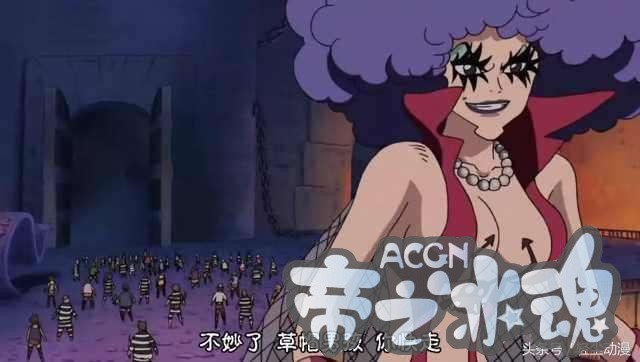 海贼王，这八个王者你知道吗？遇见草帽海贼团，他成了最惨的大王