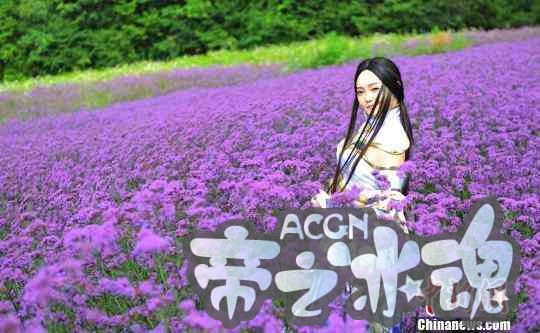 湖北举办高山花海动漫节 近万游客赏花看“秀”