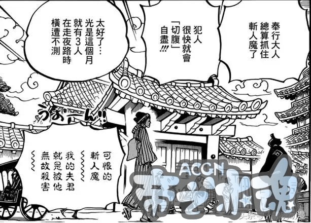 海贼王 和之国现在人民被黑暗统治，处在水深火热之中