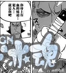 海贼王 和之国现在人民被黑暗统治，处在水深火热之中