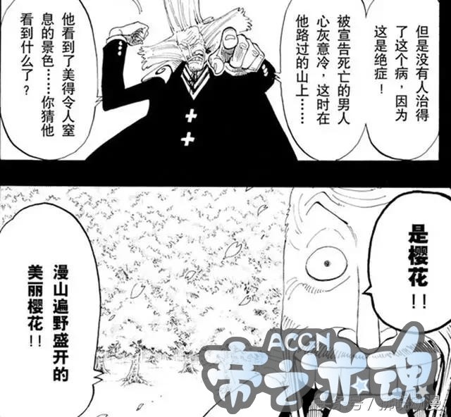 海贼王 和之国现在人民被黑暗统治，处在水深火热之中