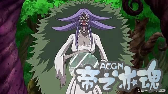 海贼王，这五大恶魔果实适合山治，有可能会把他流鼻血的毛病治好