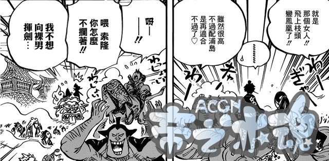 海贼王解析：小菊初次展露强大实力
