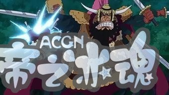 海贼王悬赏金排行榜！来看一下谁的头颅更值钱吧！