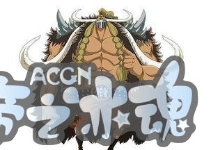海贼王悬赏金排行榜！来看一下谁的头颅更值钱吧！