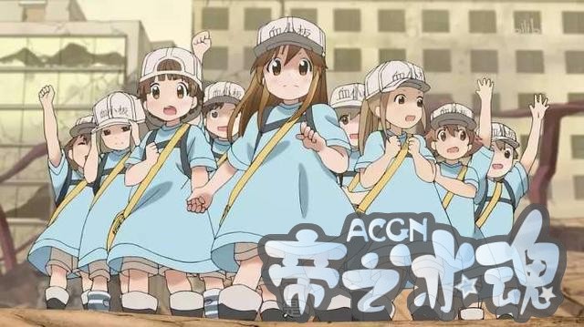 你身体里的细胞背着你在谈恋爱，又一拟人力作《工作细胞》