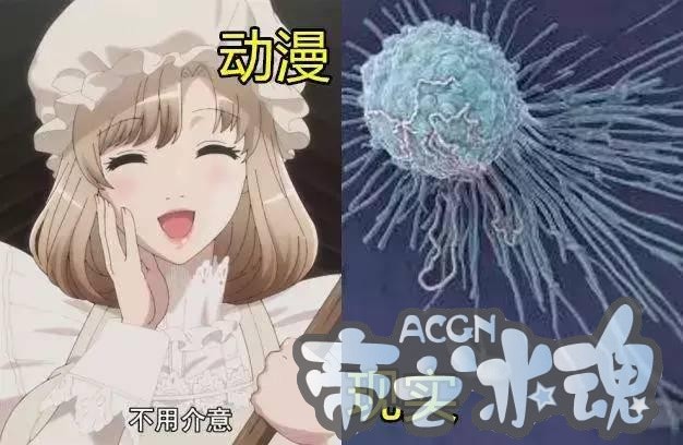 这才是你们的血小板 动漫VS现实