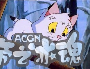 盘点动漫中那些瞬间的经典，有时候一句话就会成为经典！