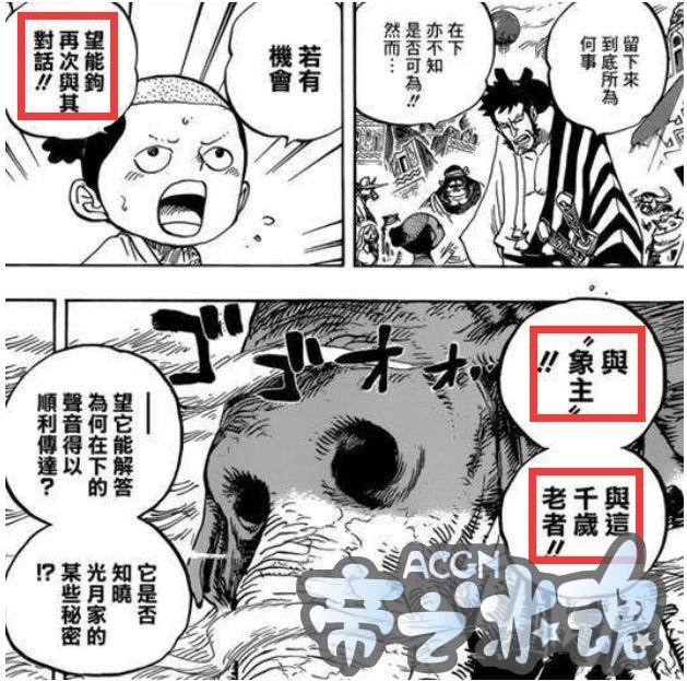 海贼王919话：万恶的桃之助果然不止8岁，狂死郎登场讲述穿越秘密