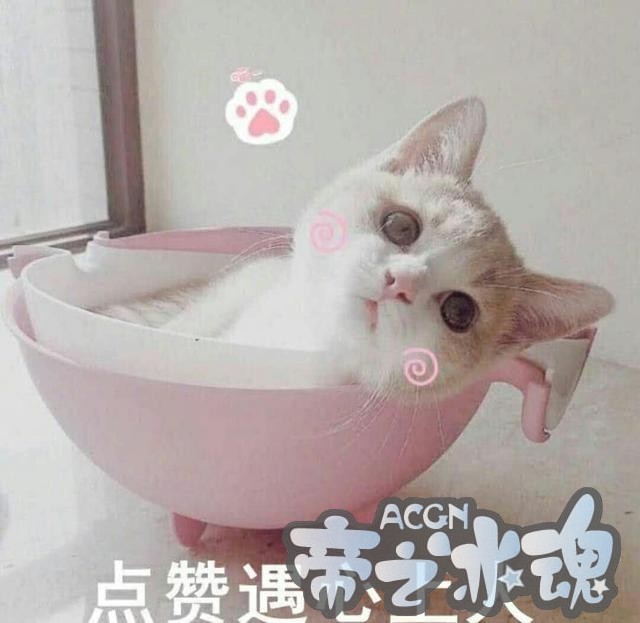 看台词猜动漫，看猜对数量测测你是个国漫迷还是日漫迷