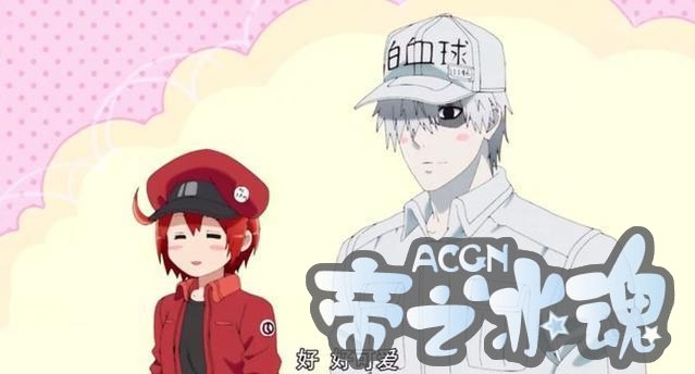 魔道祖师才14集已经拿奖拿到手软，全网播放量更突破15亿，服不服