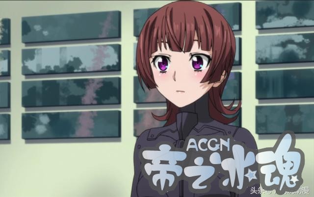 盘点动漫中魅力十足的女警官，不仅美丽还很帅气