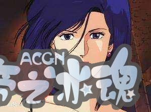 盘点·动漫男生心目中警花排名榜！