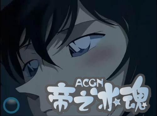 盘点·动漫男生心目中警花排名榜！