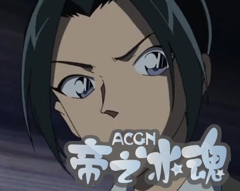 盘点·动漫男生心目中警花排名榜！