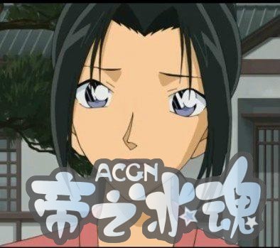 盘点·动漫男生心目中警花排名榜！