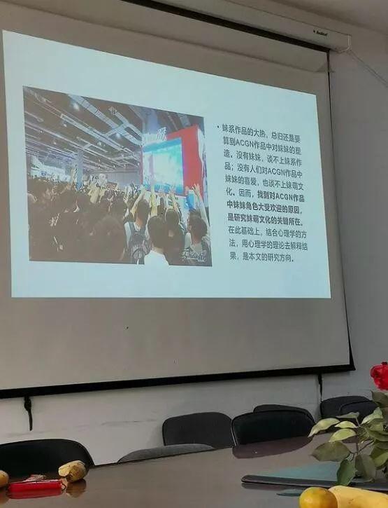 围观大学生论文开题报告，研究的竟是妹控文化，导师表情复杂