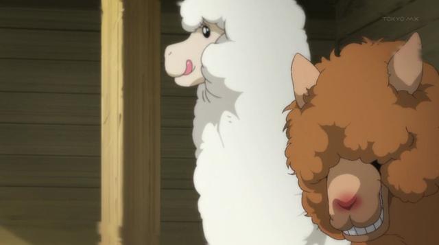 羊驼，日本动漫界的动物明星，萌娘化之后就更绝了