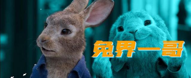 「比得兔2：逃跑计划」“萌兔天团”角色预告公开
