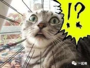 此生无悔入东方,来世愿生幻想乡！P站精选250张《东方Project》帝之冰魂动漫高清图