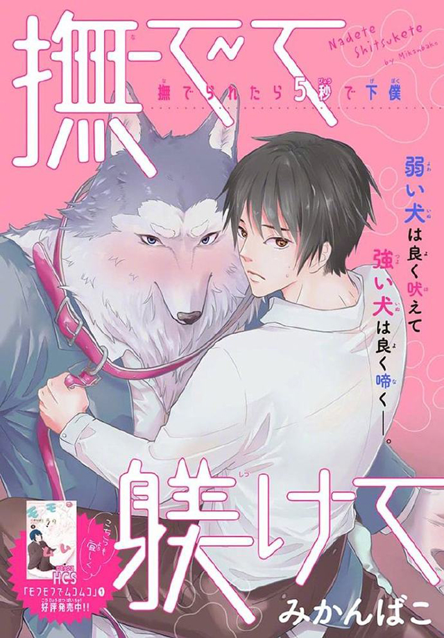 白泉社杂志全新增刊「BLaLa」正式创刊