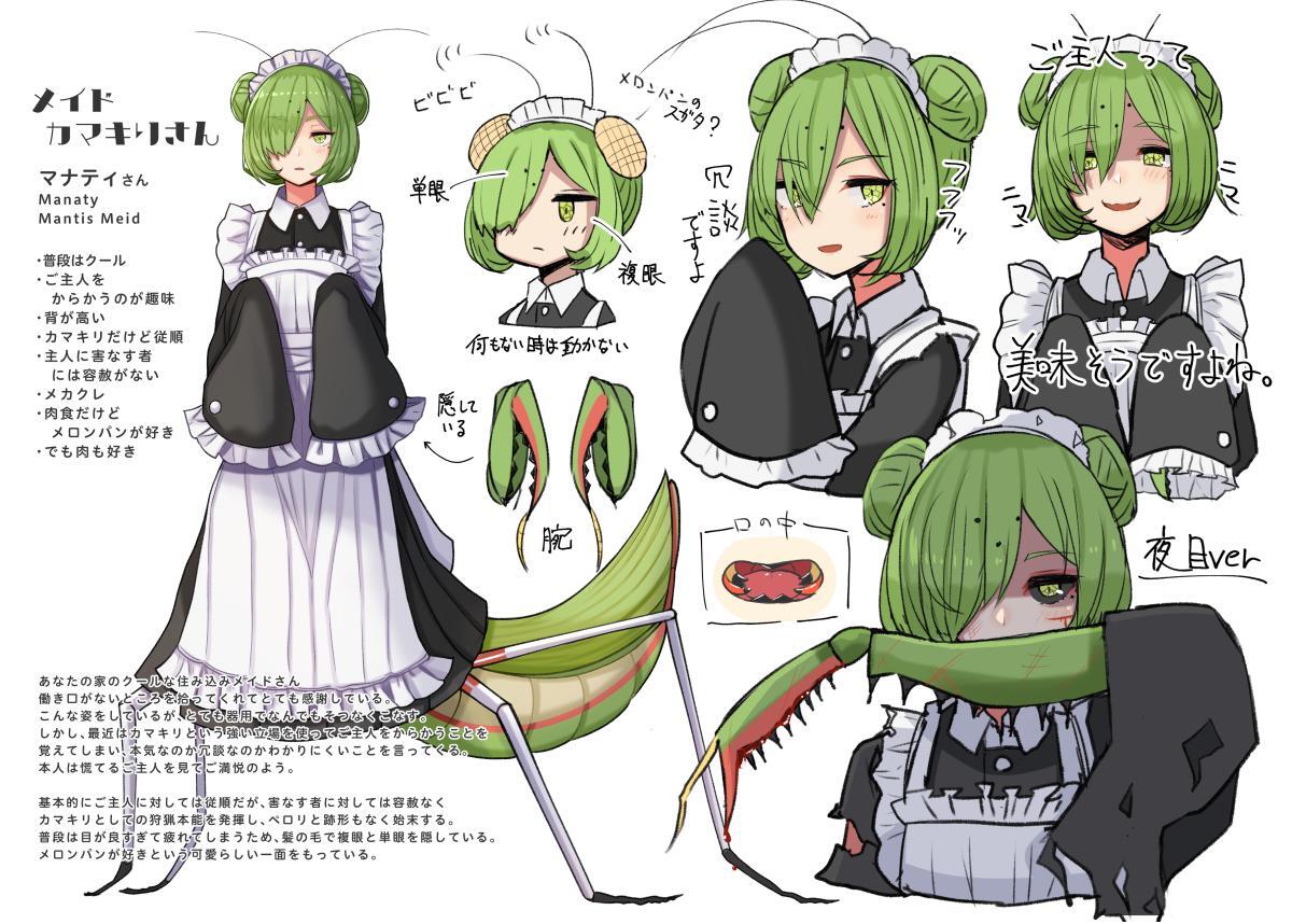 万物皆可娘化，《虫子美少女》帝之冰魂帝之冰魂动漫将现实中可怕的昆虫们变可爱！