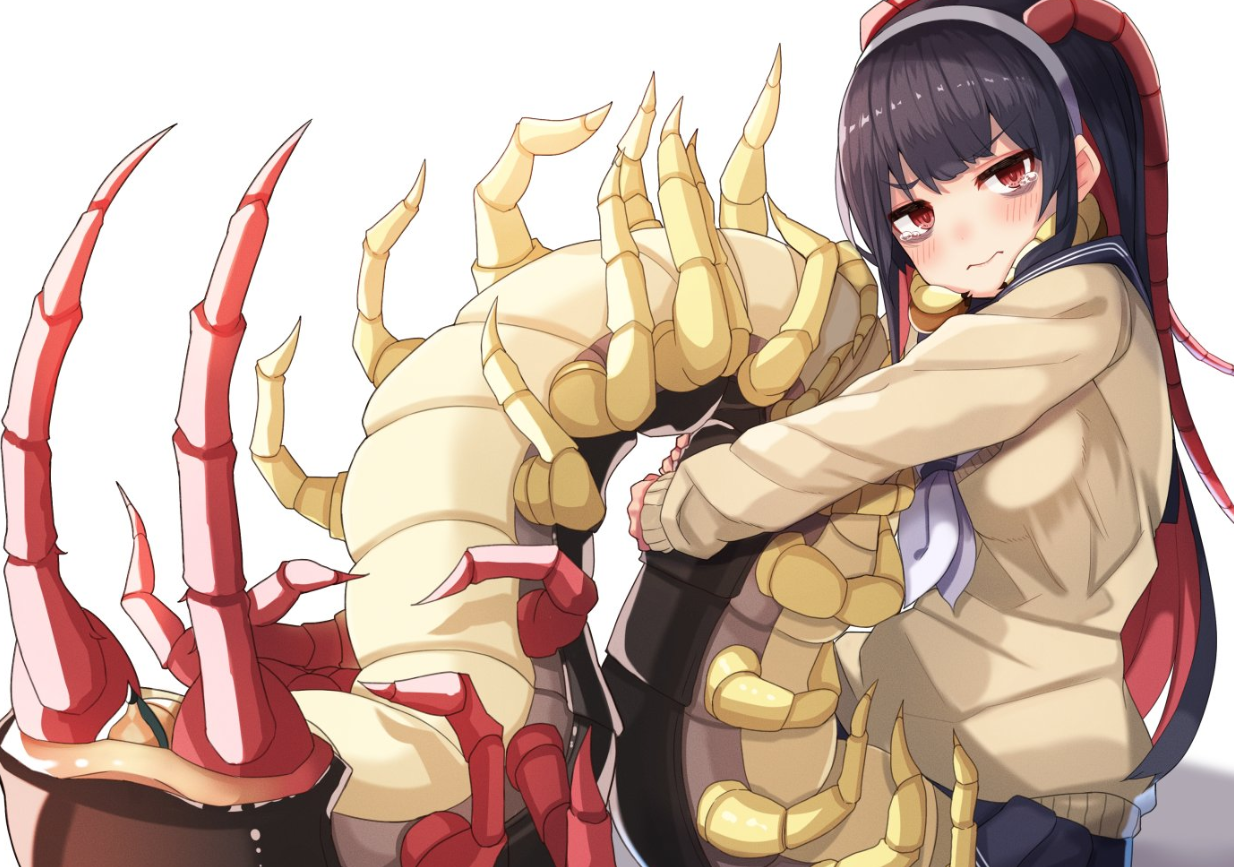 万物皆可娘化，《虫子美少女》帝之冰魂帝之冰魂动漫将现实中可怕的昆虫们变可爱！
