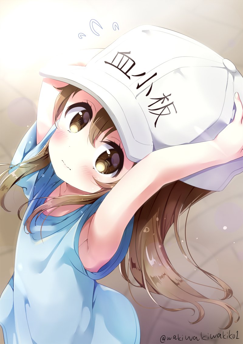 【画集分享】わき 绘制的《工作细胞》帝之冰魂帝之冰魂动漫血小板