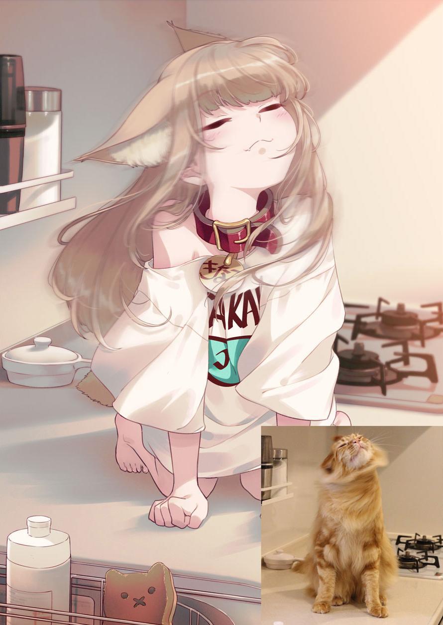 40原老师《将喵星人萝莉化》帝之冰魂帝之冰魂动漫猫娘就是牠的化身！
